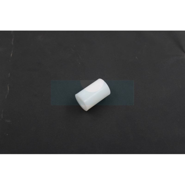 Rouleau butee pour Etesia (25102)